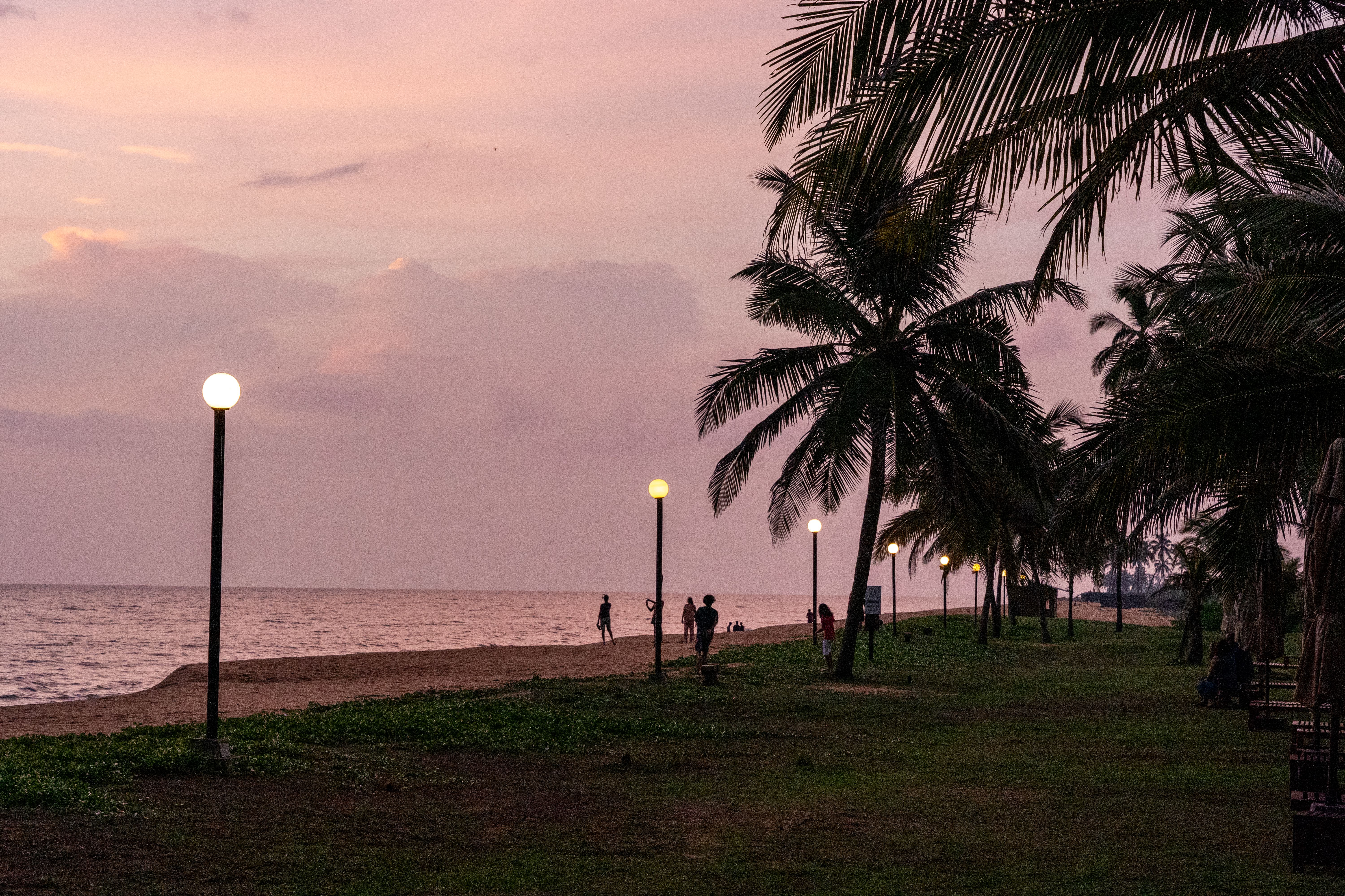 Tranquil beach promenade lined with palm trees at sunset, perfect for relaxation.
