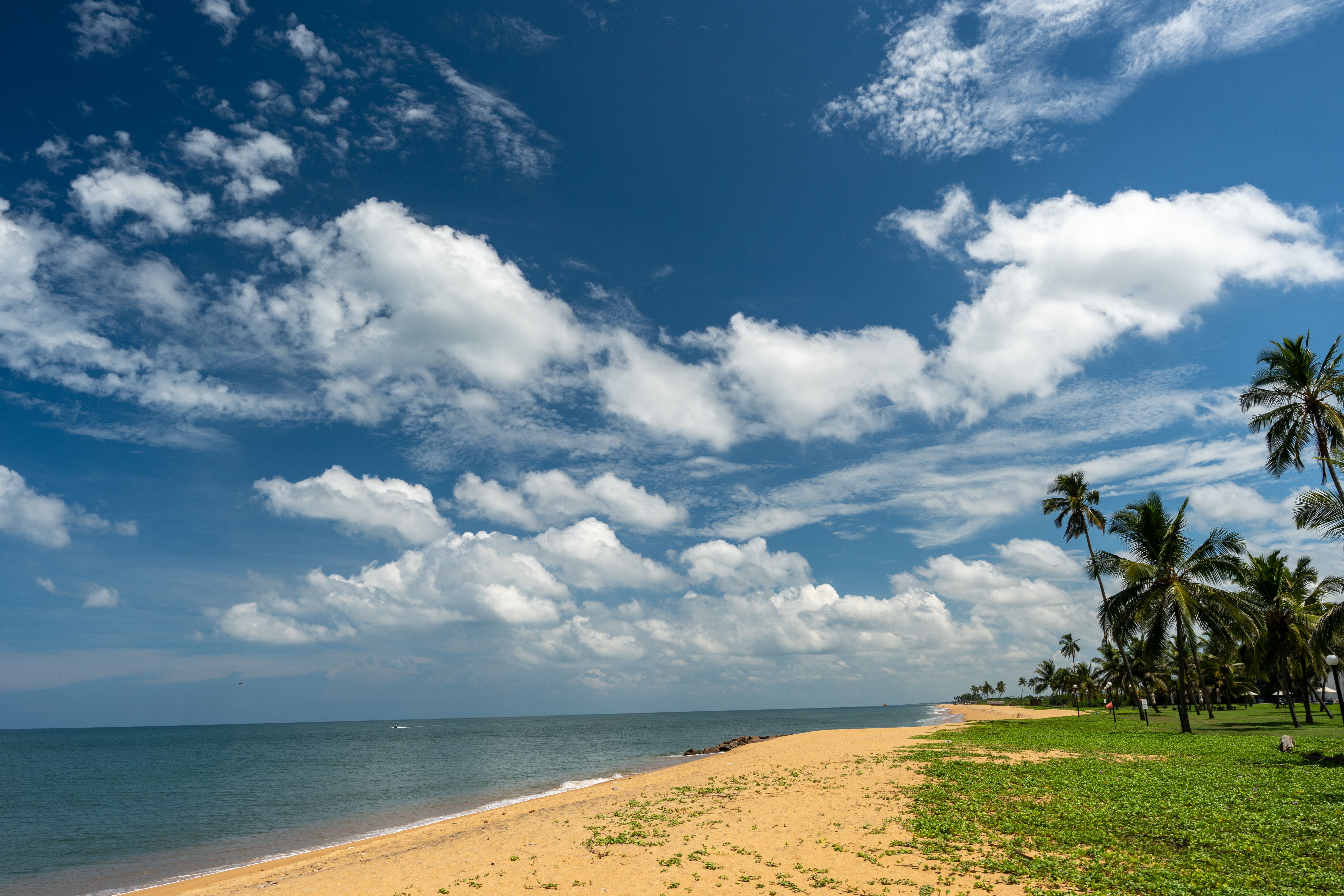 Beach on Tropical Sea Shore · Free Stock Photo