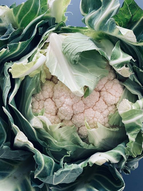 Free Close-up of fresh cauliflower surrounded by vibrant green leaves, perfect for food photography. Stock Photo