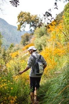 一个背着背包的男人徒步穿越阿尔及利亚农村，那里充满活力的植物展现了自然美景
