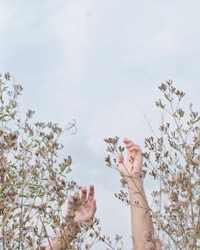 手穿过高大的野花，映在明亮的天空上，这景象令人振奋
