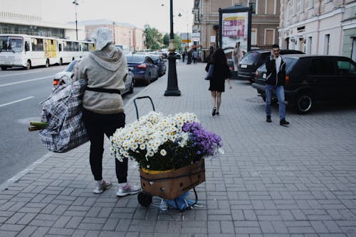 Persona Que Lleva Flores