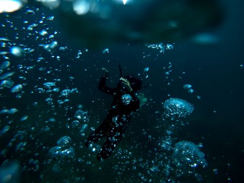 Free A scuba diver surrounded by bubbles deep underwater, showcasing the beauty of marine exploration. Stock Photo