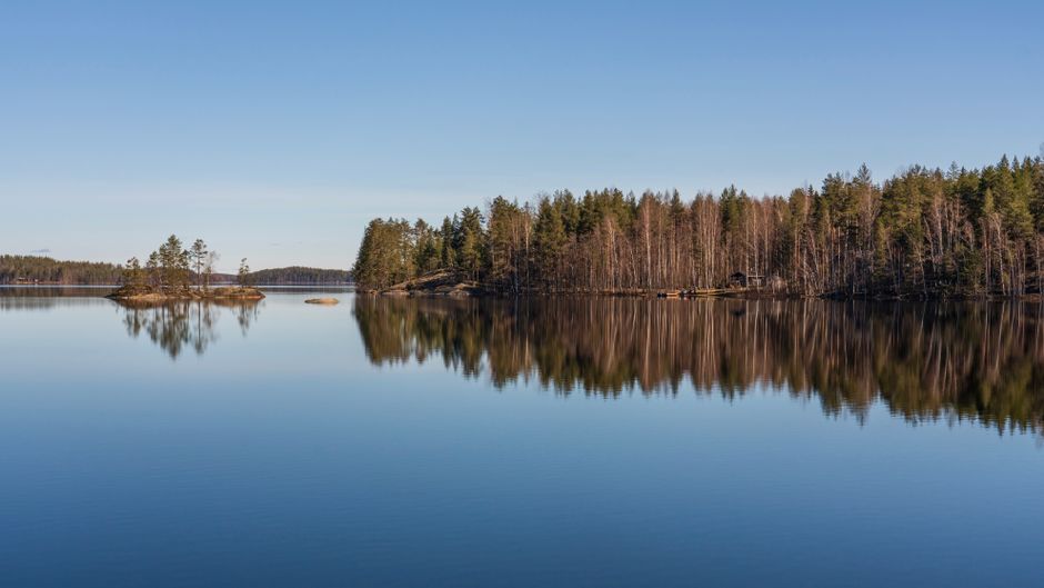 Fotomural Paisaje pacífico de un vasto lago que refleja un bosque bajo cielos azules claros.