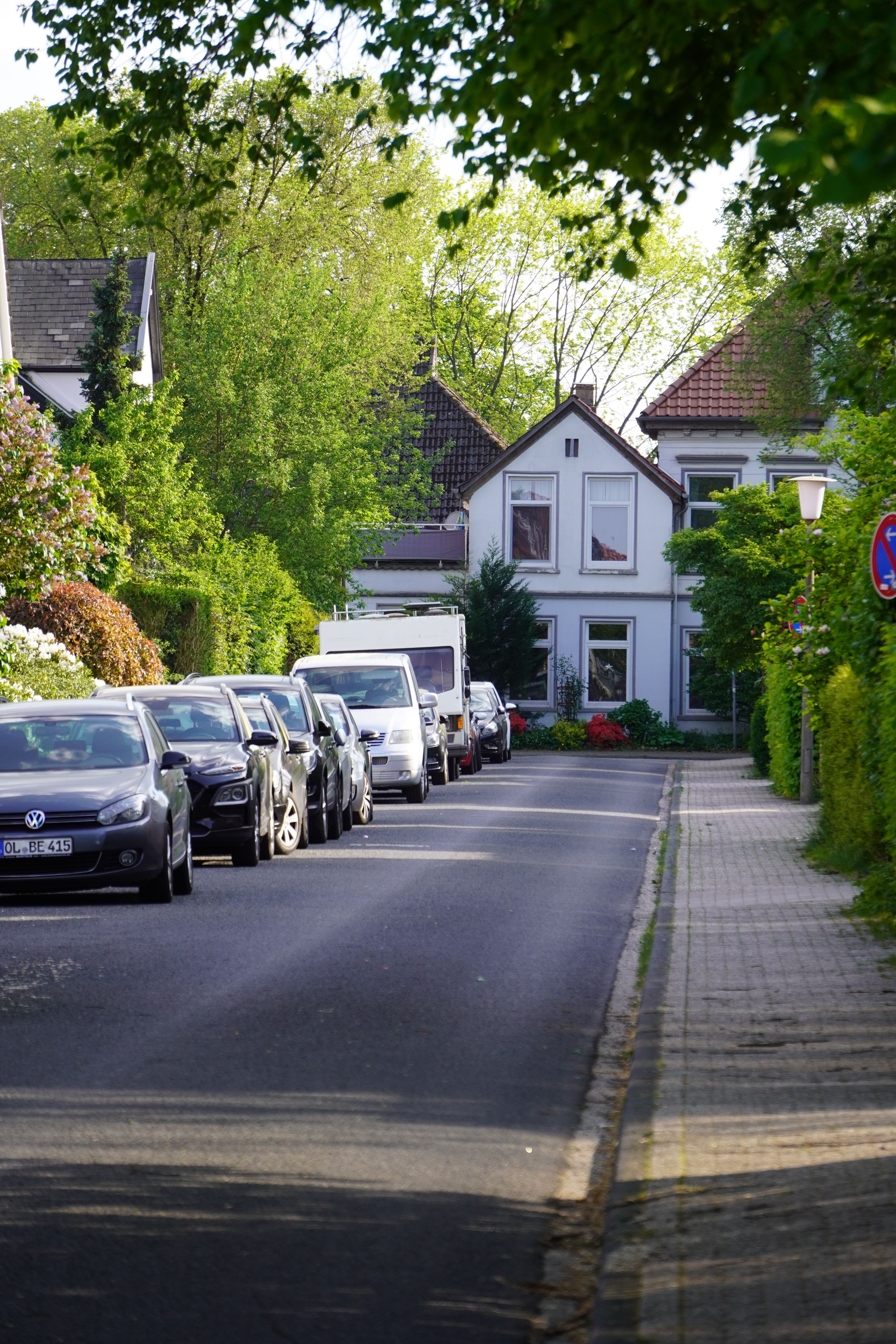 A street lined with parked cars and trees · Free Stock Photo
