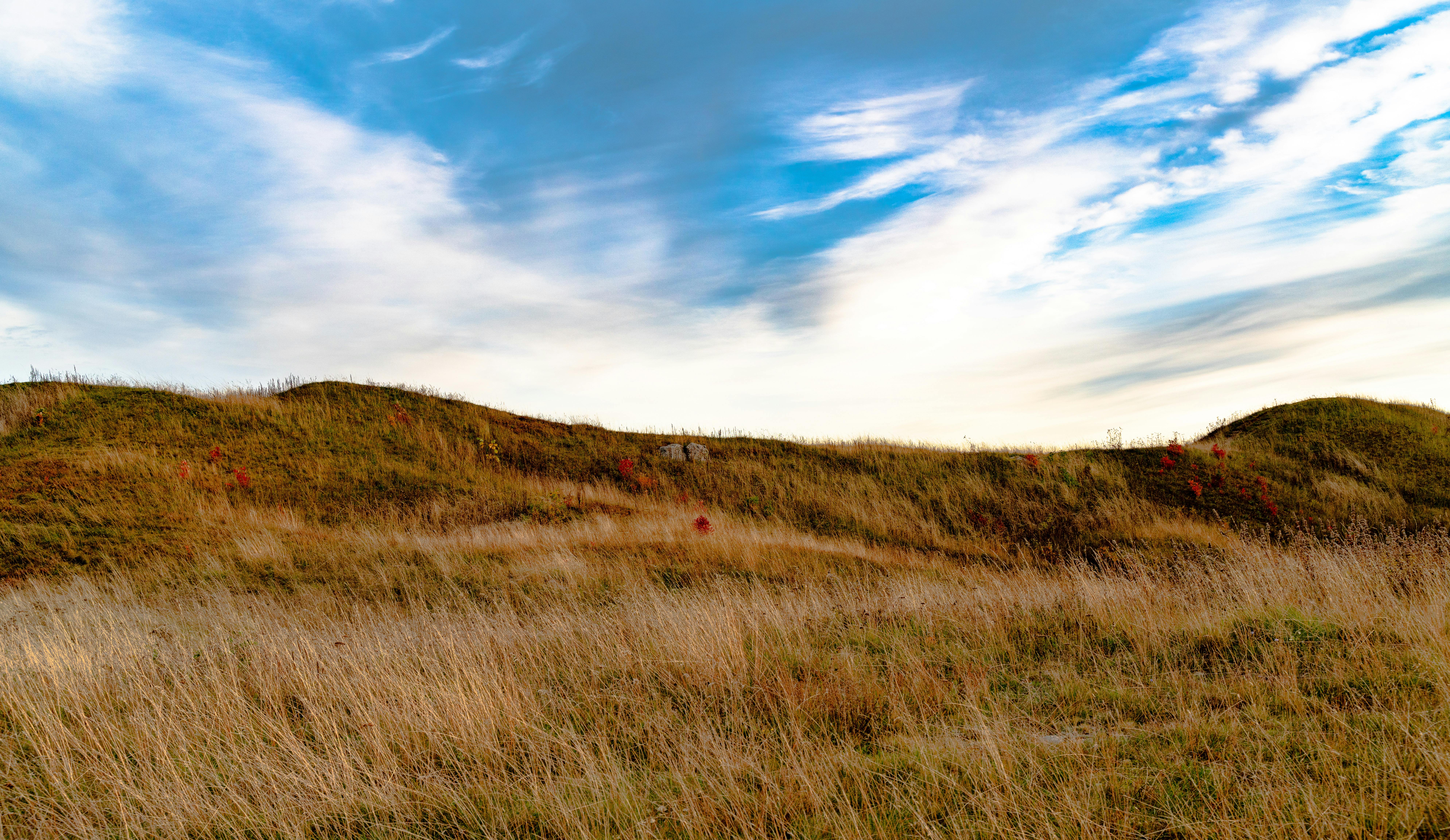 Tranquil autumn landscape with grassy hills under a vibrant sky in Uppsala, Sweden.