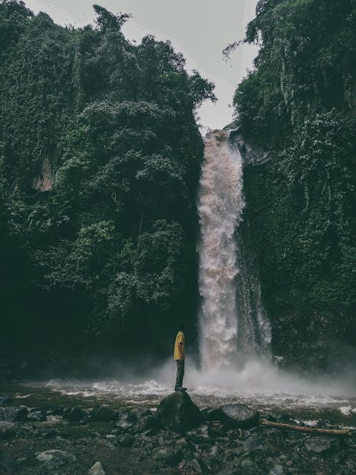 Free stock photo of water, waterfall
