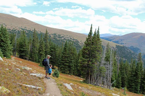 Free stock photo of dads, hiking, kids