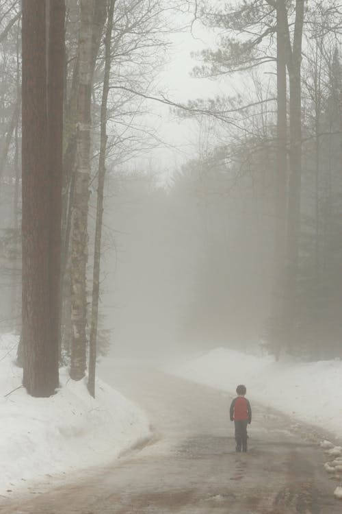 Free stock photo of fog, foggy, hiking