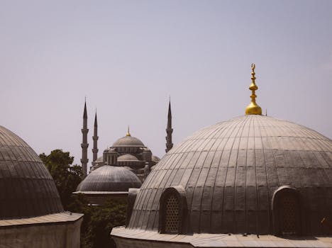 Iconic view of Istanbul's skyline featuring historical domes and elegant minarets against a clear sky.