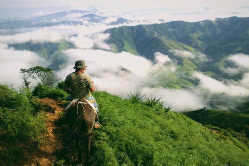 Free Person Riding a Horse Stock Photo