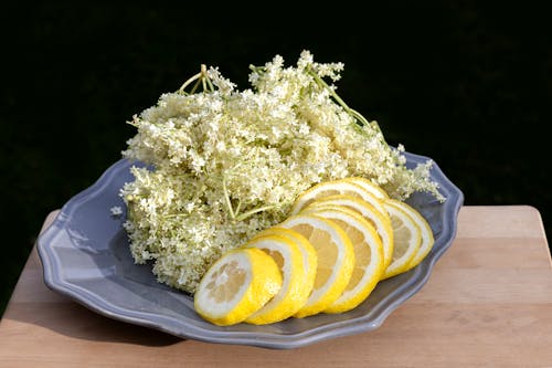 Çiçekler, Limon, limon dilimleri içeren Ücretsiz stok fotoğraf