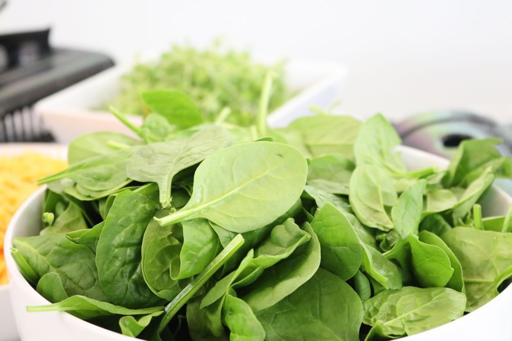 Espinaca, lechuga y verduras verdes de hoja