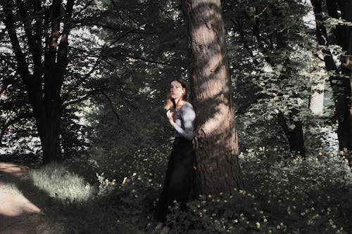 女人靠在一棵樹的樹皮上