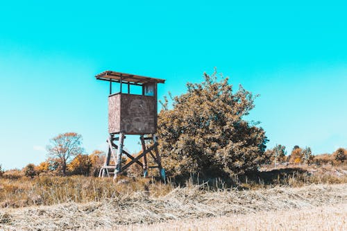 abandoned agriculture alone architectural