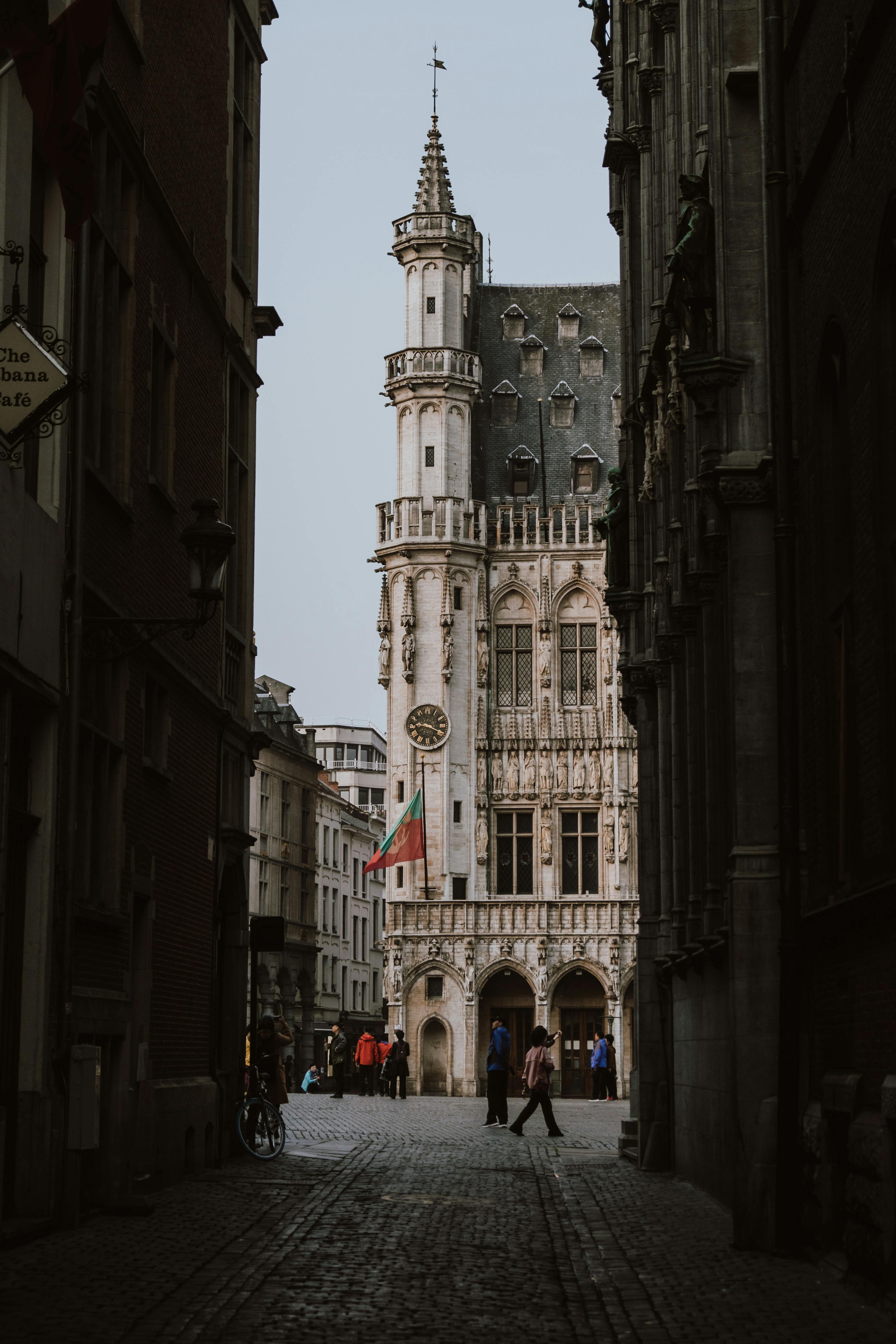 brown and white building