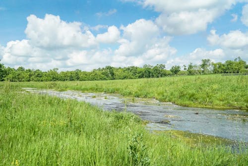 Free stock photo of beautiful landscape, blue skies, grass field