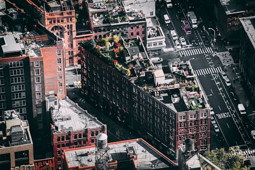 航拍动态展示了纽约市繁华的街道和充满活力的屋顶绿化