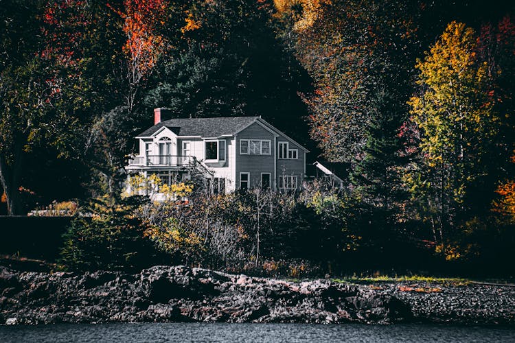 House By The Forest