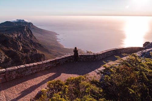 Kostnadsfri bild av afrika, anläggning, berg