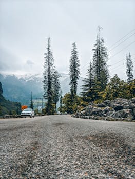 冬季风景如画，山路两旁是高大的松树