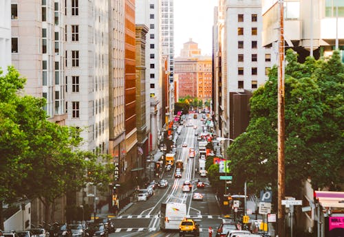 Road In Between Buildings