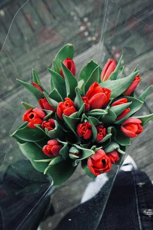 A bouquet of red tulips is sitting on a table