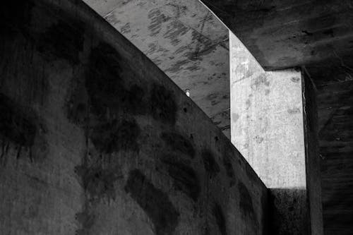 Бесплатное стоковое фото с абстрактный, архитектура, бетон