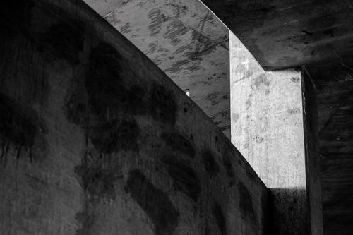 Free Captivating black and white view of modern concrete architecture in urban Boise. Stock Photo