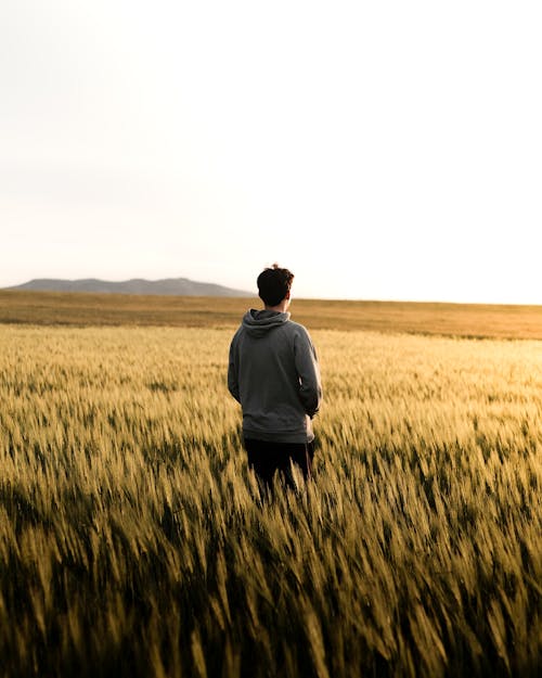 A man standing in a wheat field at sunset