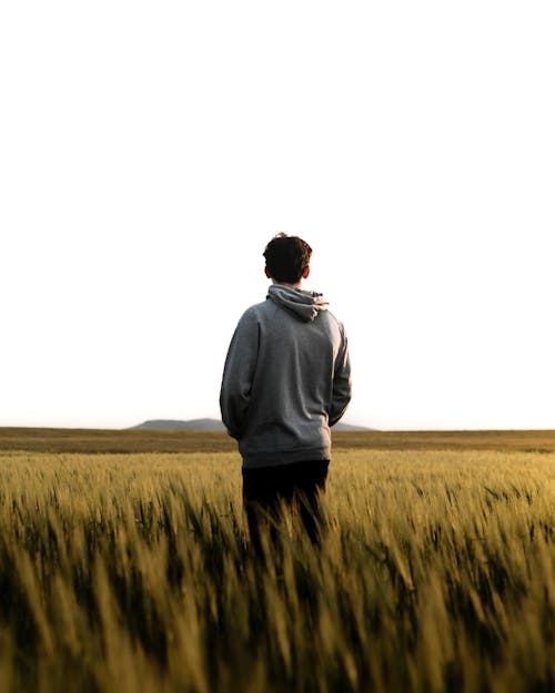 A man standing in a field looking at the sky