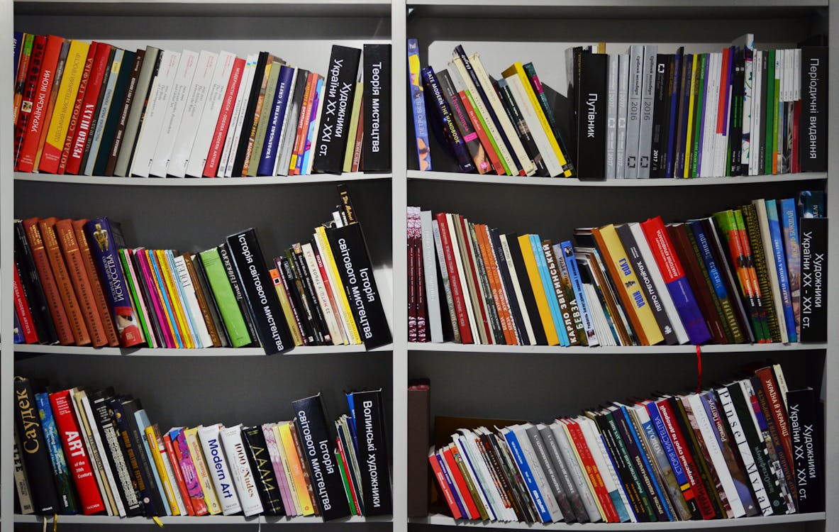 Free Bookshelves Stock Photo