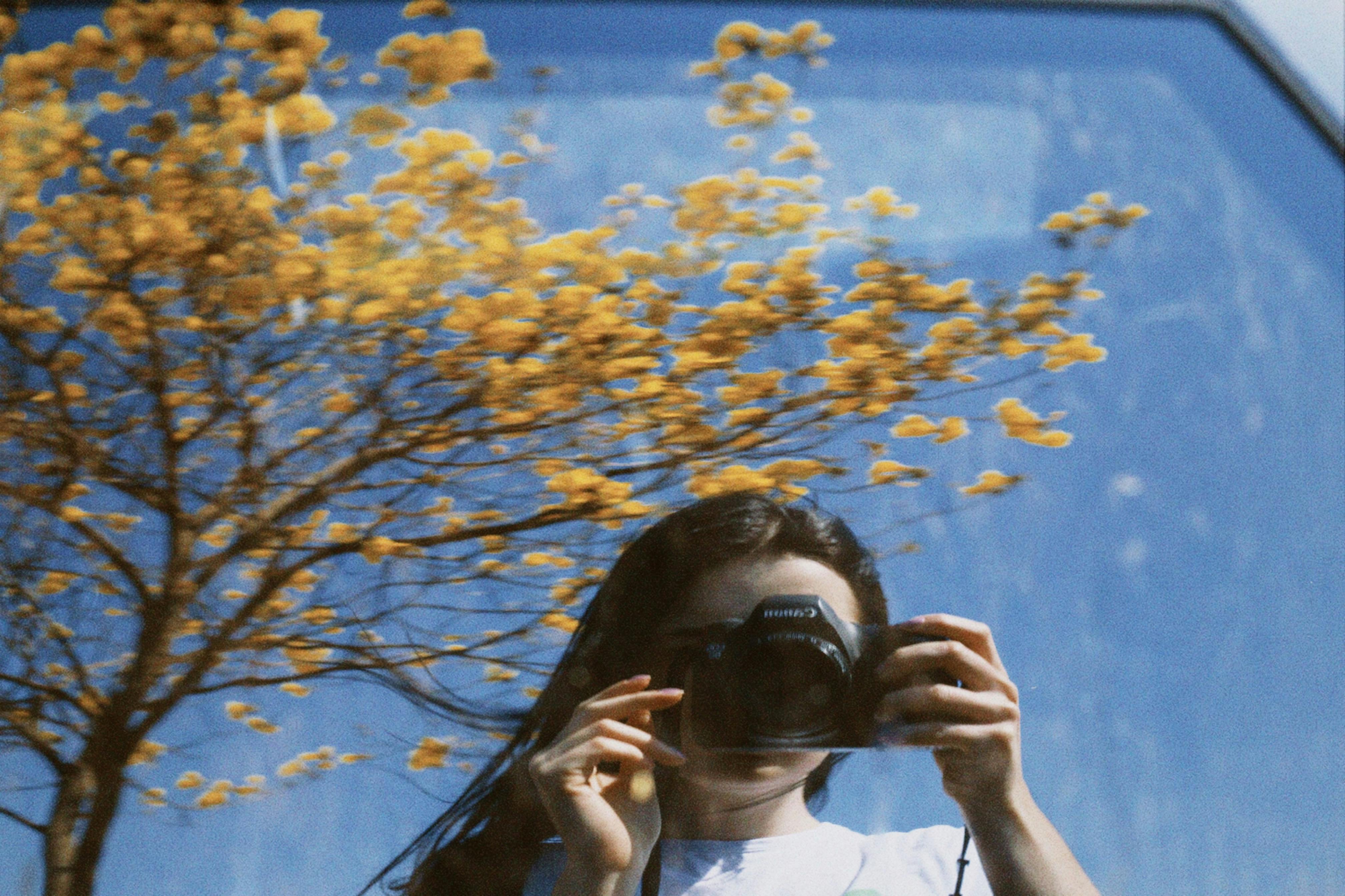 Mirror image of woman photographing blooming tree with camera.