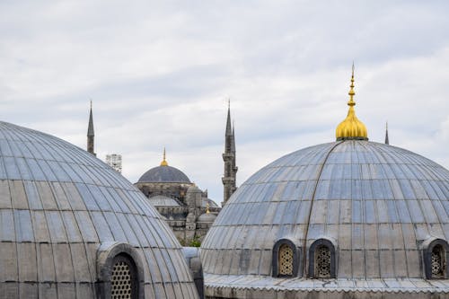 Foto d'estoc gratuïta de arquitectura, gall dindi, hagia sofia