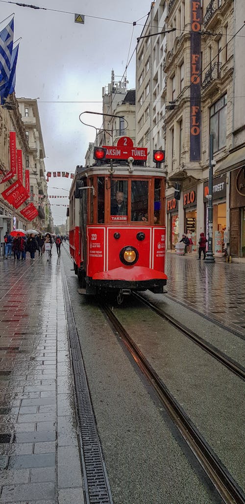 Foto d'estoc gratuïta de arquitectura, gall dindi, Istanbul