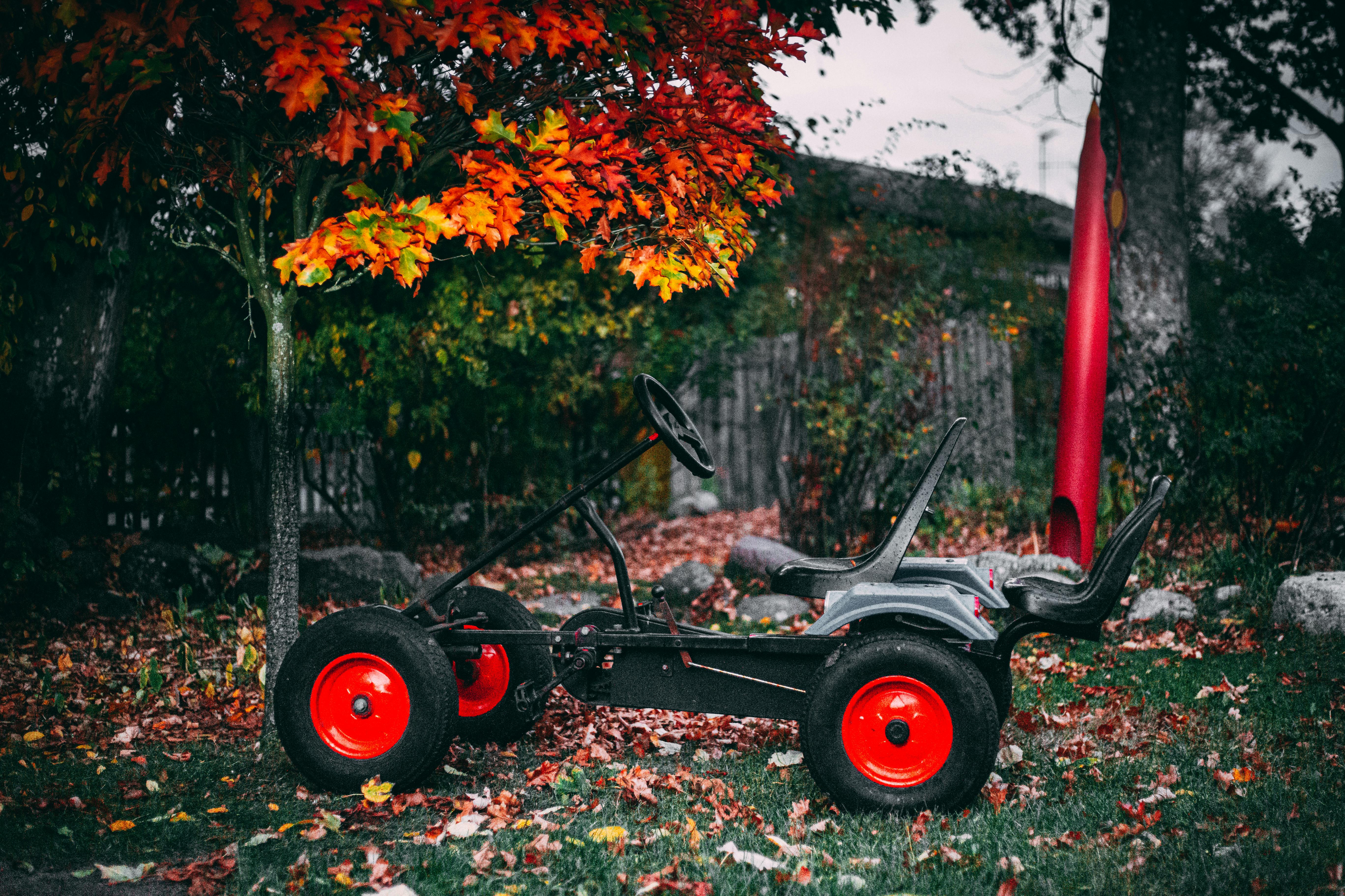 gokart on grass · Free Stock Photo