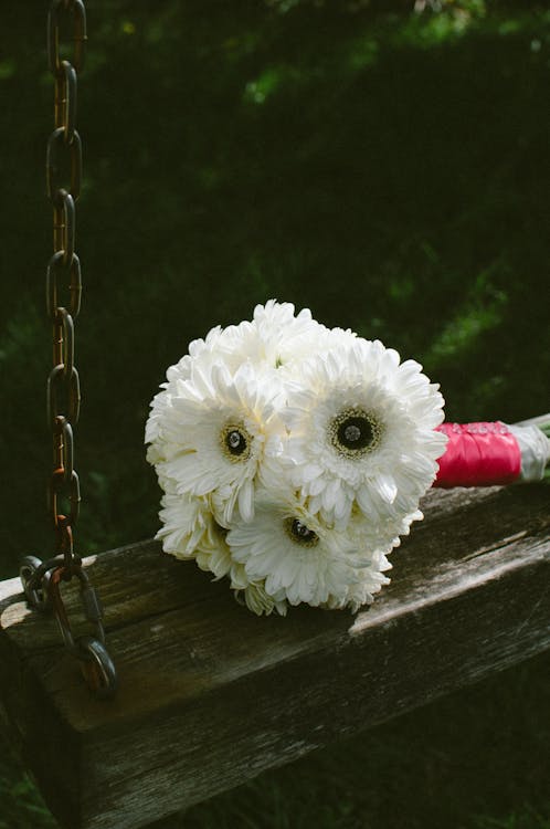 무료 갈색과 회색 금속 야외 스윙에 흰색 꽃다발 꽃 스톡 사진