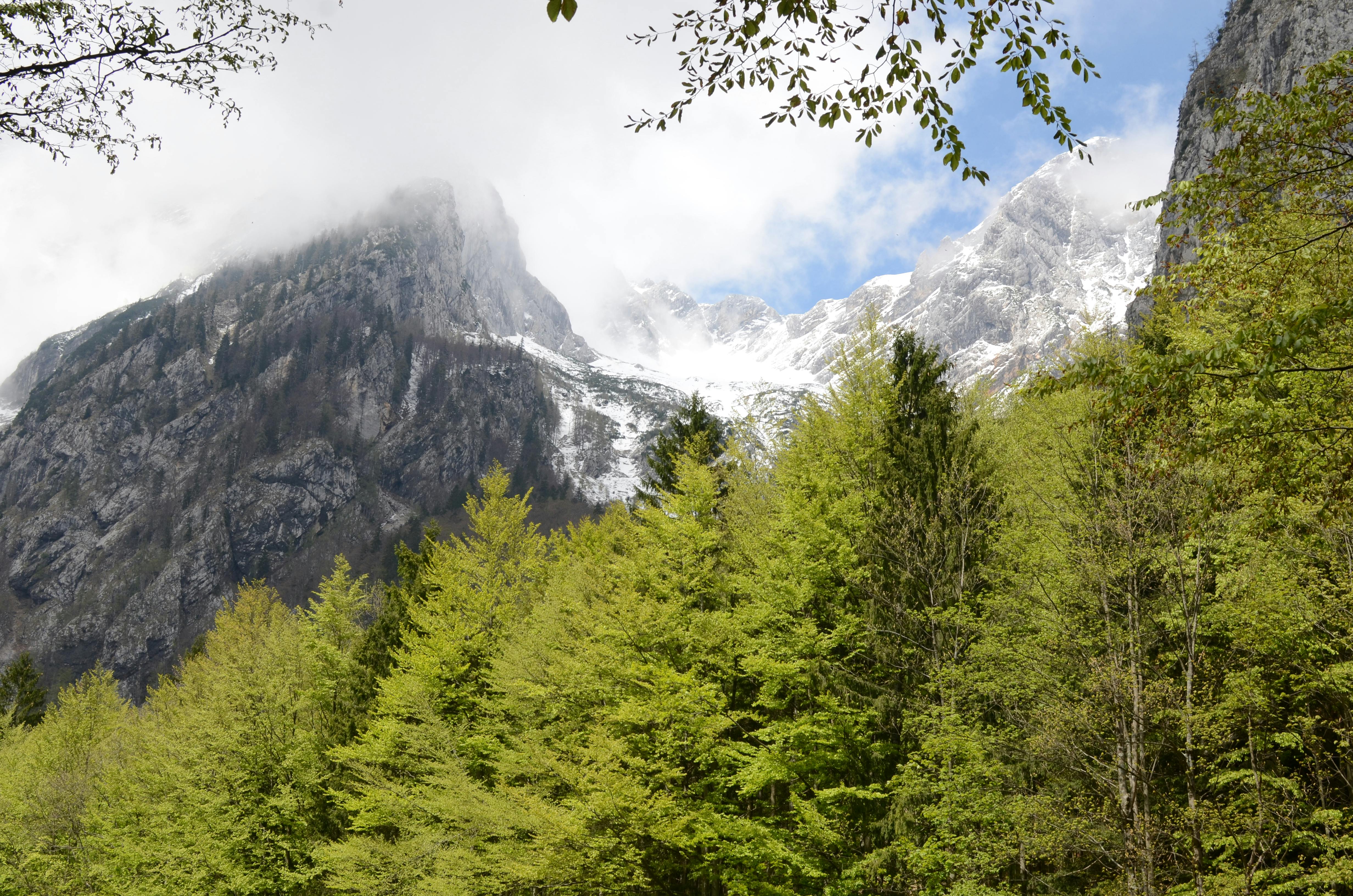 斯洛文尼亚的特里格拉夫国家公园里，白雪皑皑的山峰与郁郁葱葱的森林共同构成了令人叹为观止的景观
