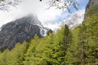 斯洛文尼亚的特里格拉夫国家公园里，白雪皑皑的山峰与郁郁葱葱的森林共同构成了令人叹为观止的景观