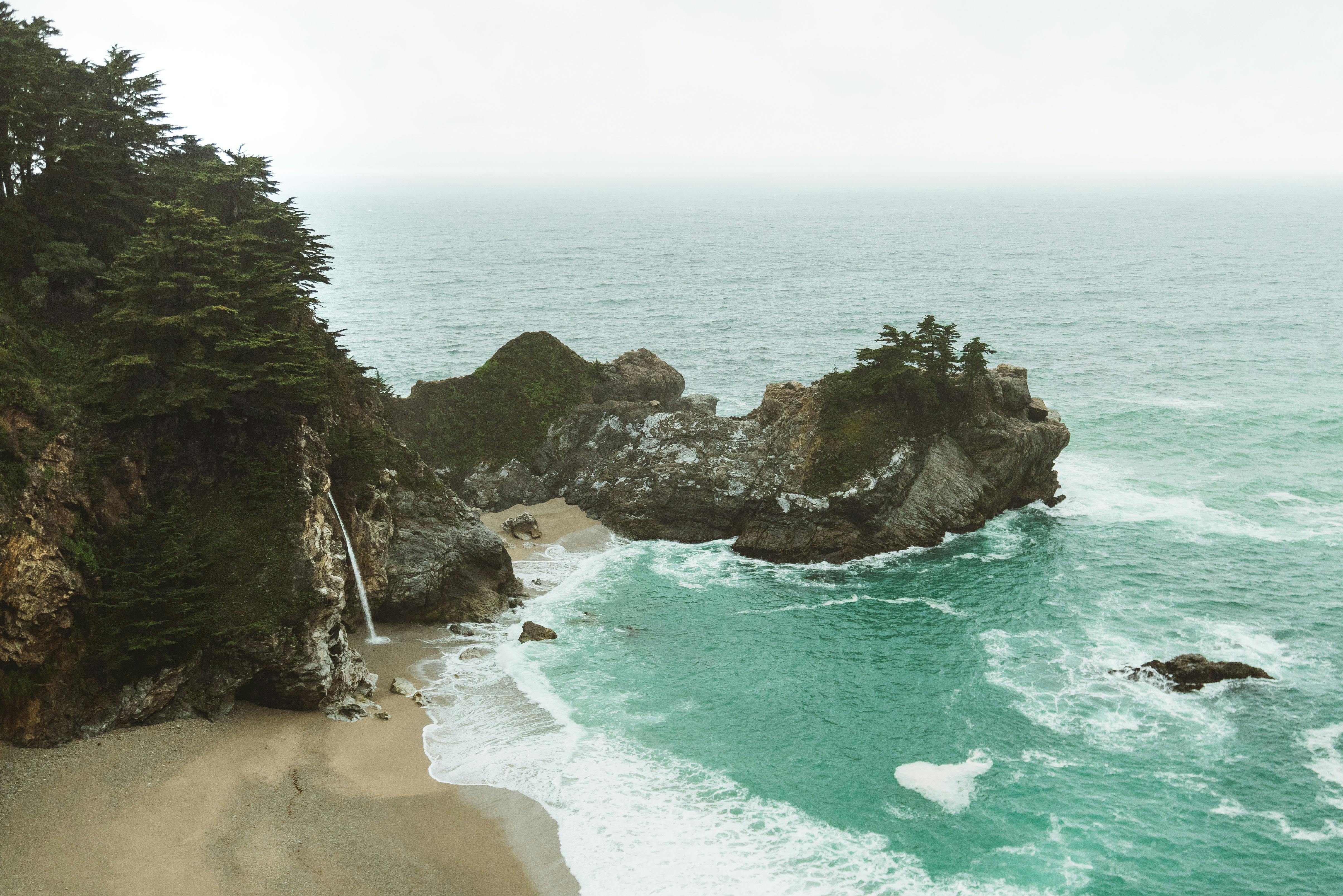 Green Trees on Sea Cliffs