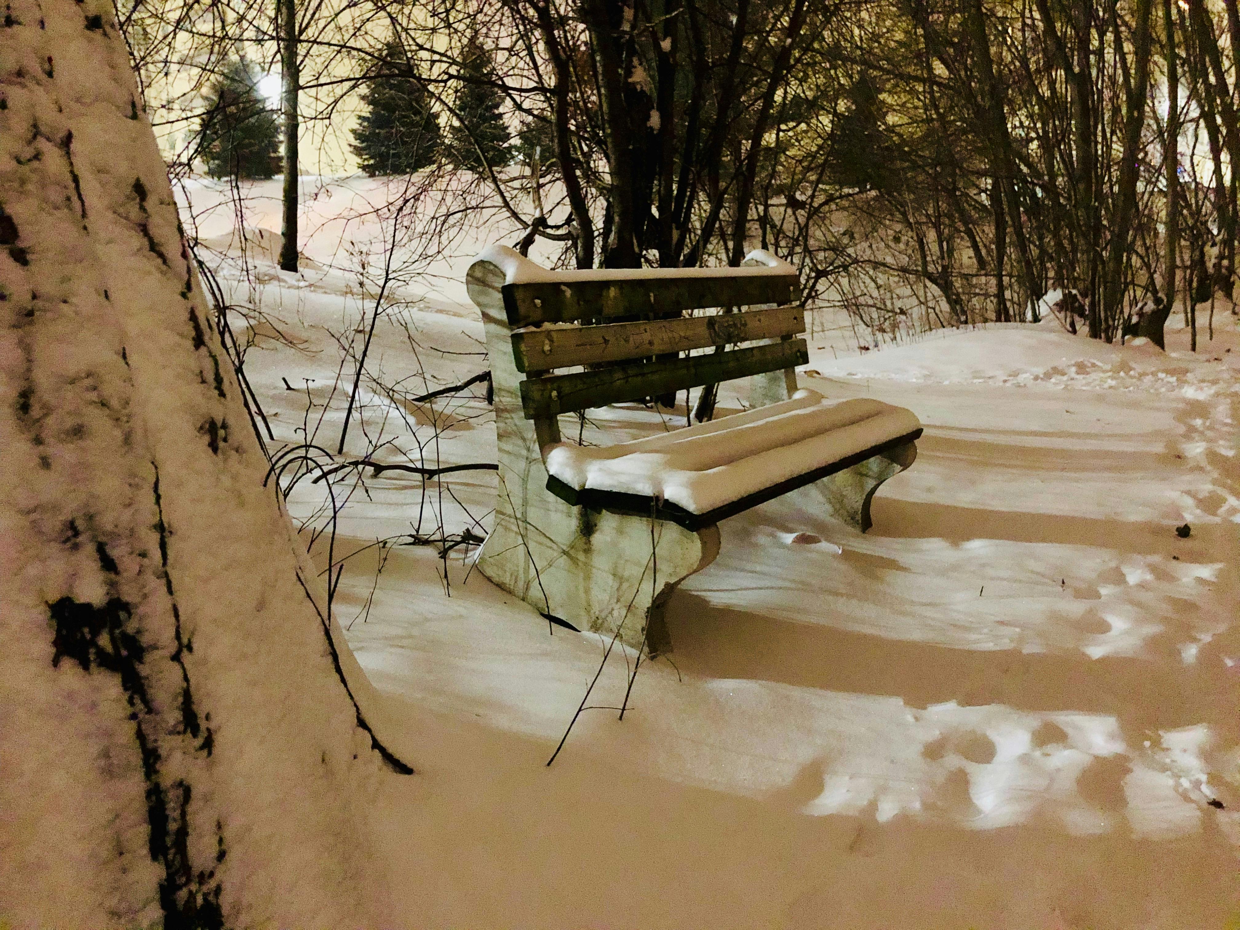 pexels-photo-2331860.jpeg?auto=compress&cs=tinysrgb&h=650&w=940