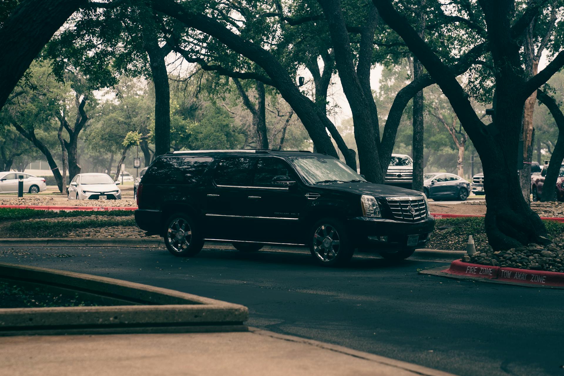 Black Cadillac Escalade Parked Under Trees in Fire Zone