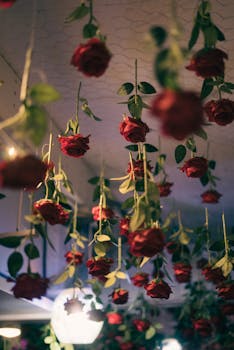Beautiful hanging red roses ceiling decoration in Mexican restaurant with a romantic ambiance.