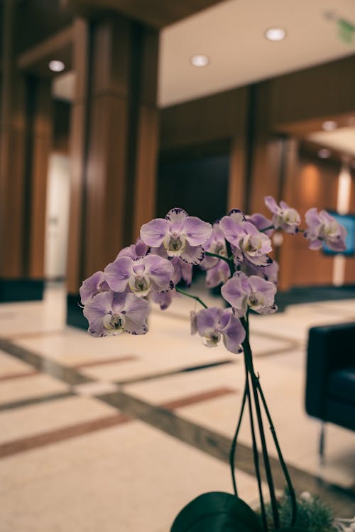 A purple flower in a vase in a lobby