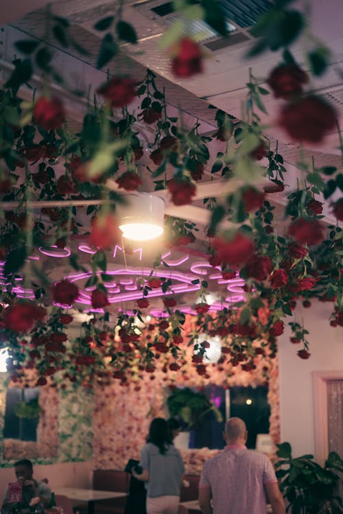 A restaurant with flowers hanging from the ceiling