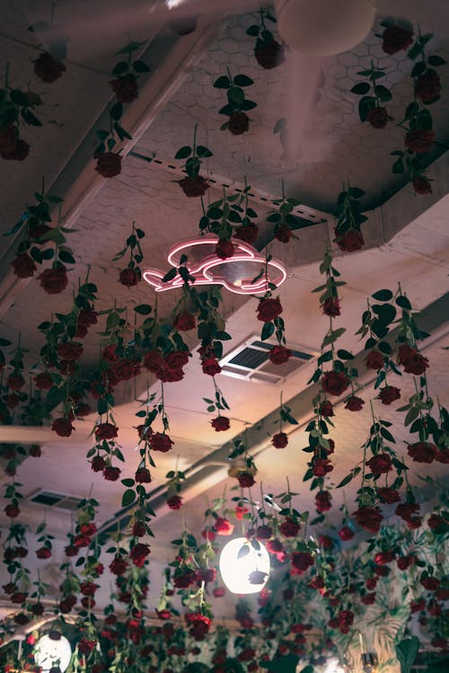 A room with roses hanging from the ceiling