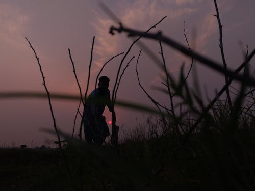 Δωρεάν στοκ φωτογραφιών με γέρος, δύση του ηλίου, όμορφη φύση