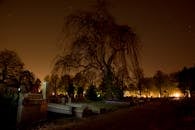 夜色中，墓地的美丽令人难忘，气氛诡异