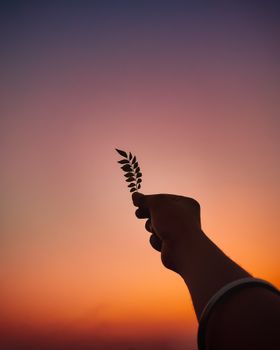 A silhouetted hand holding a leaf against a vibrant sunset sky, capturing a moment of tranquility.