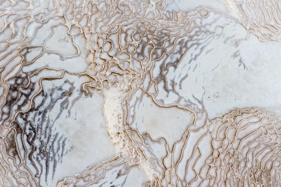 Intricate natural marble texture with elegant veins and patterns.